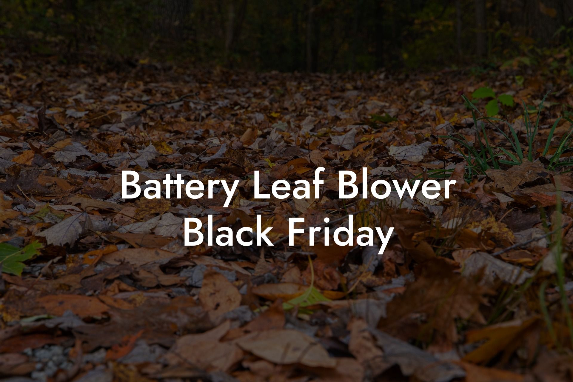 Battery Leaf Blower Black Friday