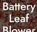 Battery Leaf Blower Home Depot