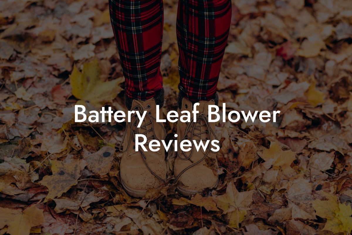 Battery Leaf Blower Reviews