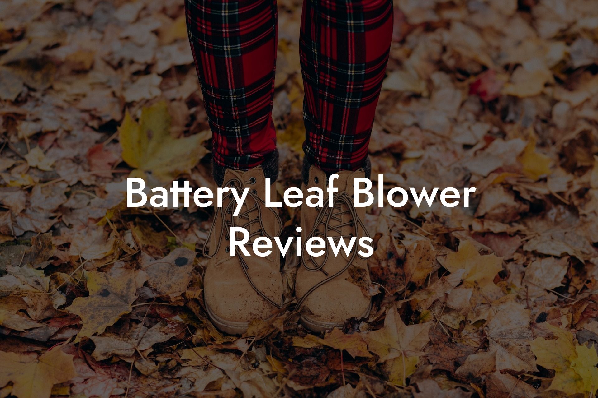 Battery Leaf Blower Reviews