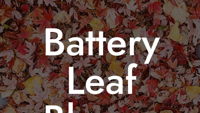 Battery Leaf Blower Sale