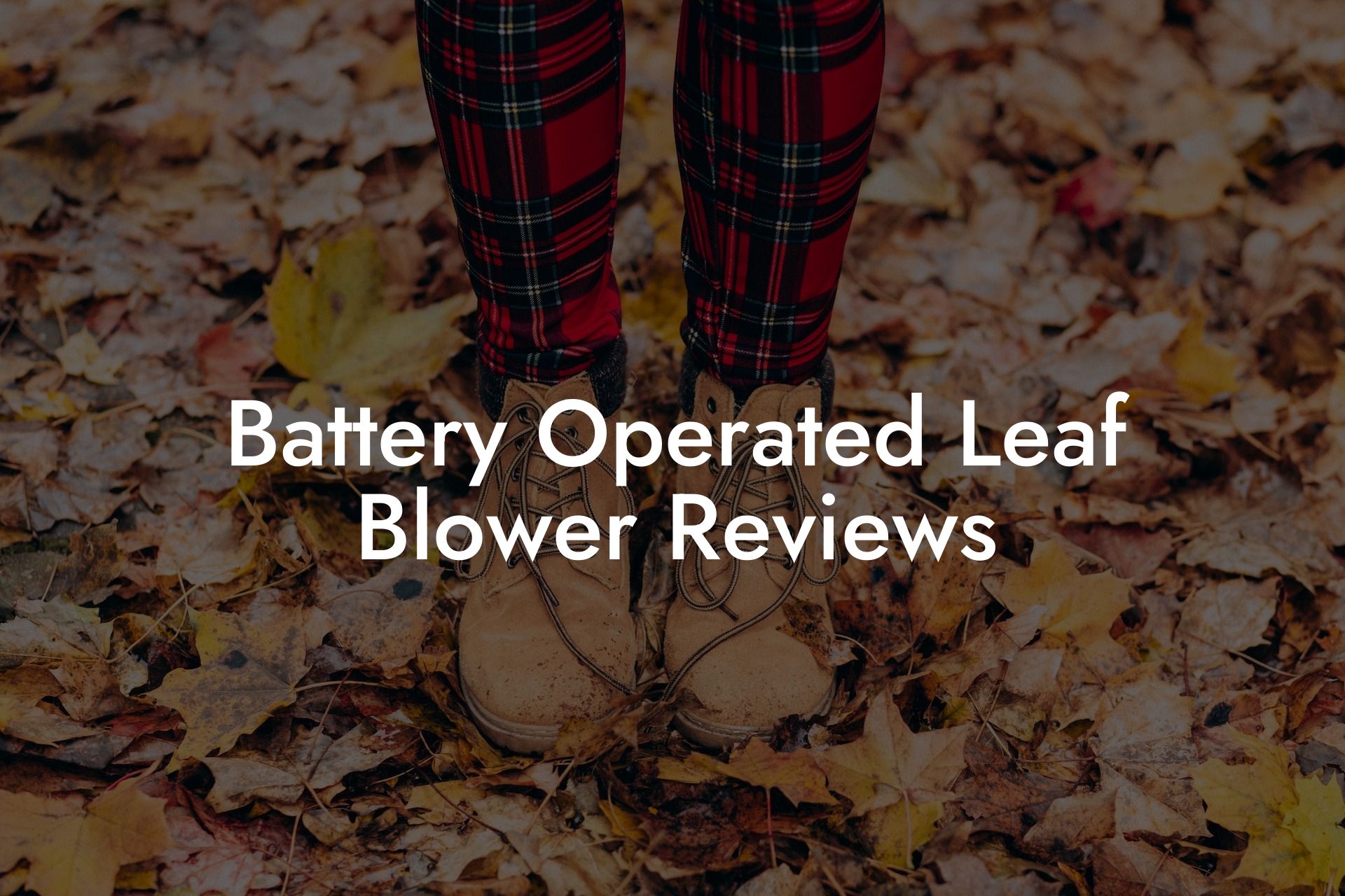 Battery Operated Leaf Blower Reviews