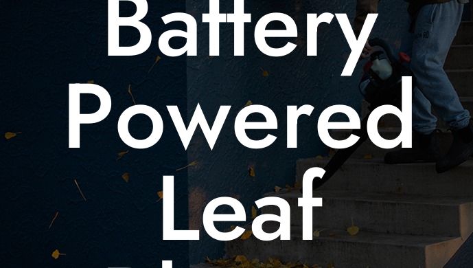 Battery Powered Leaf Blower and Vacuum