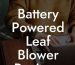 Battery Powered Leaf Blower Reviews