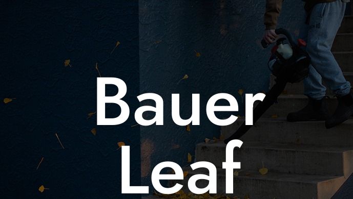 Bauer Leaf Blower