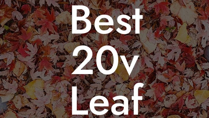 Best 20v Leaf Blower