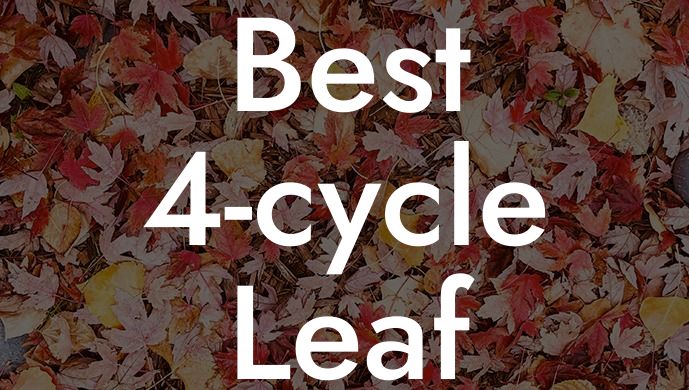 Best 4-cycle Leaf Blower