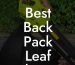 Best Back Pack Leaf Blower