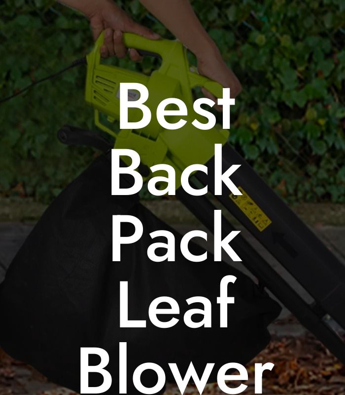 Best Back Pack Leaf Blower