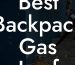 Best Backpack Gas Leaf Blower