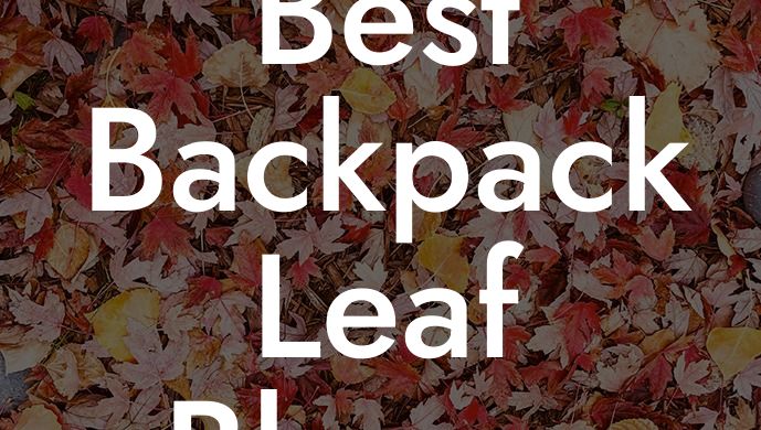 Best Backpack Leaf Blower 2024