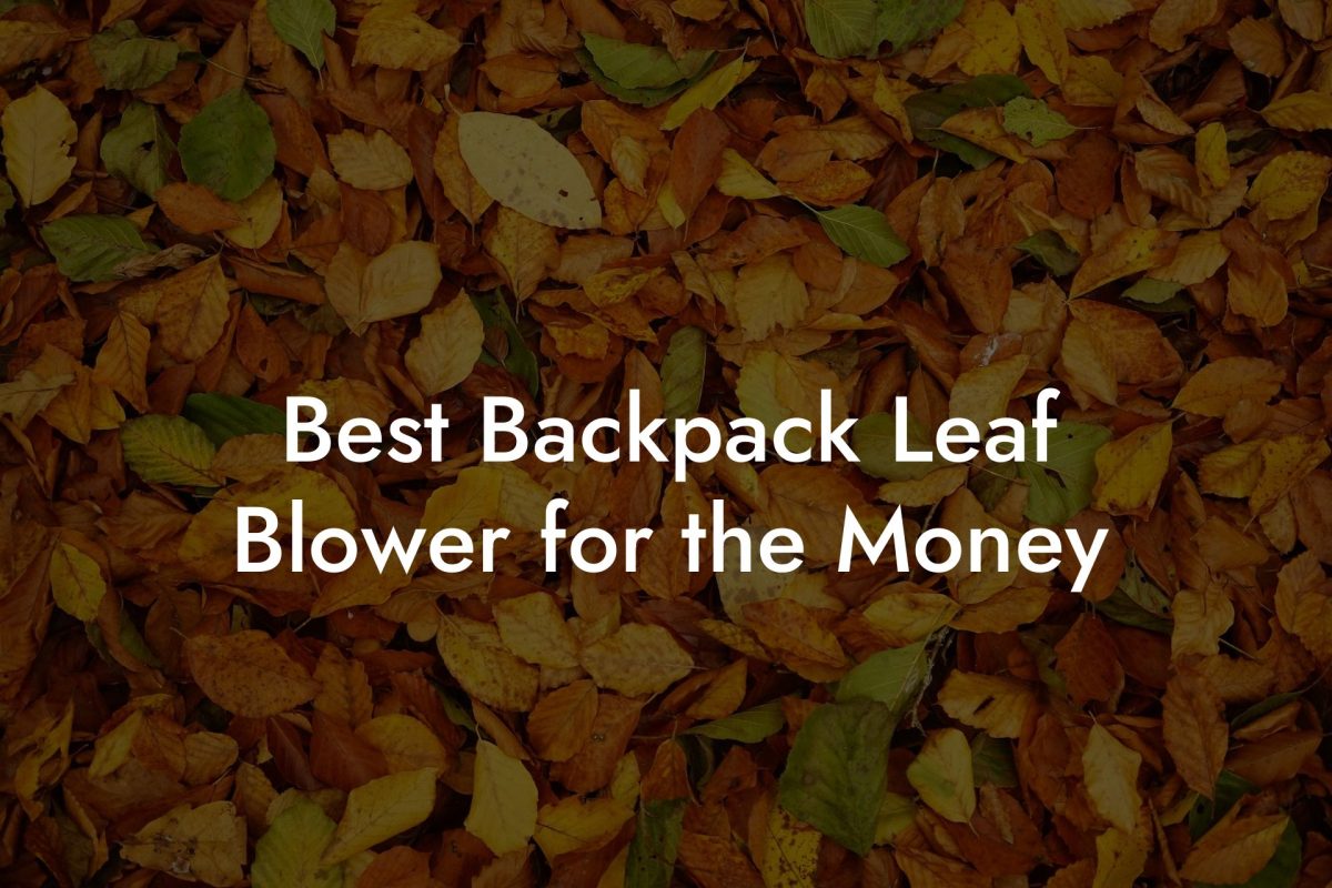 Best Backpack Leaf Blower for the Money