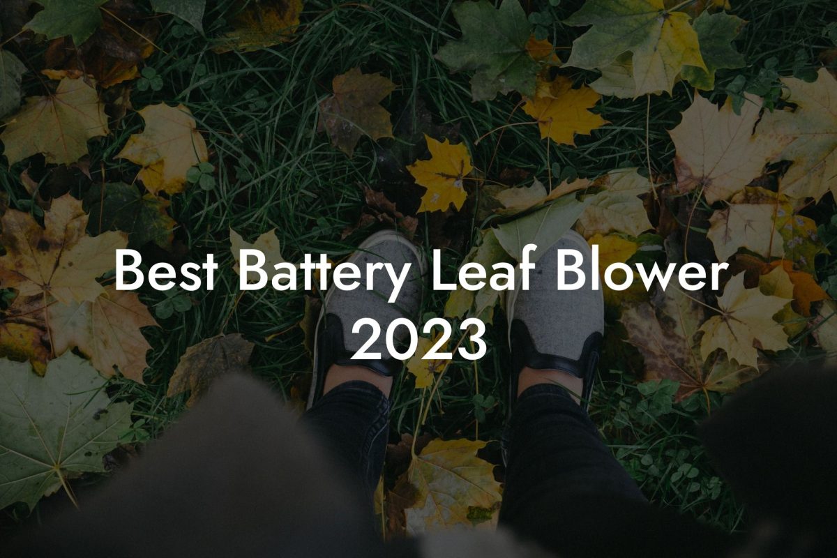 Best Battery Leaf Blower 2023