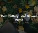 Best Battery Leaf Blower 2023