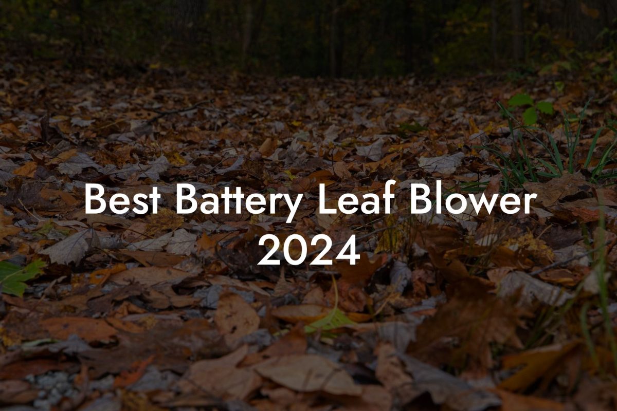 Best Battery Leaf Blower 2024