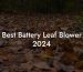 Best Battery Leaf Blower 2024