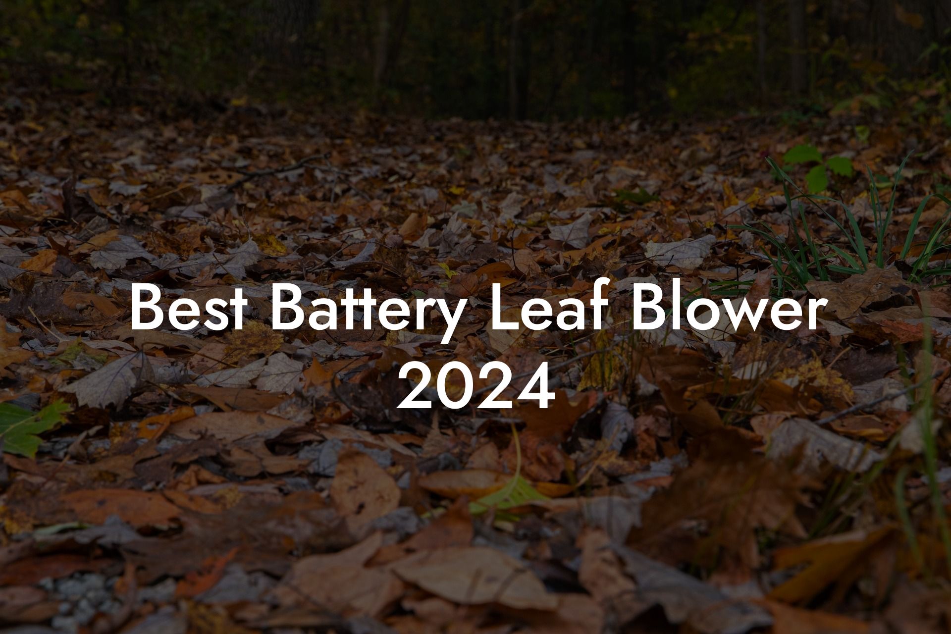 Best Battery Leaf Blower 2024