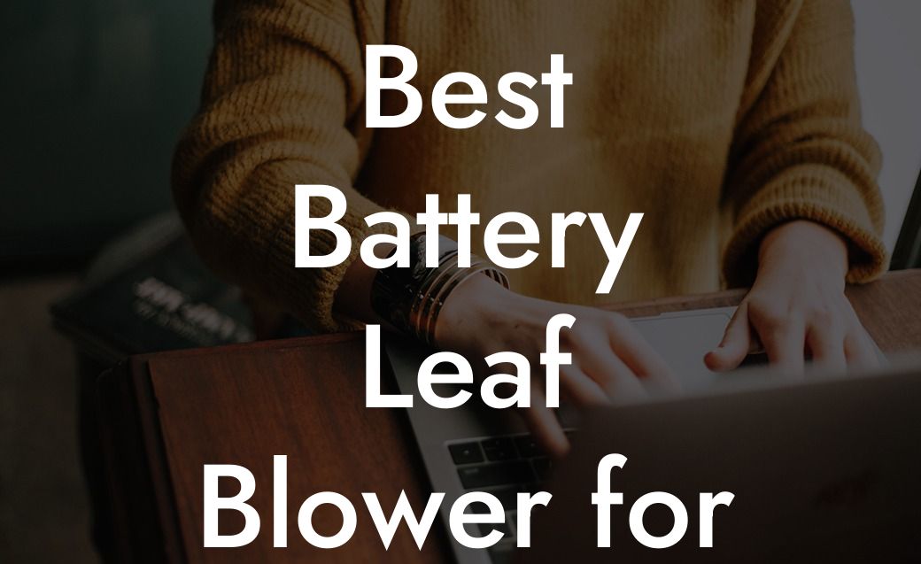 Best Battery Leaf Blower for the Money