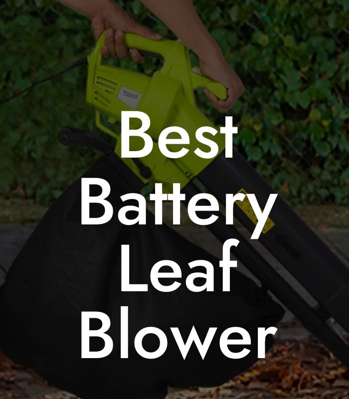 Best Battery Leaf Blower