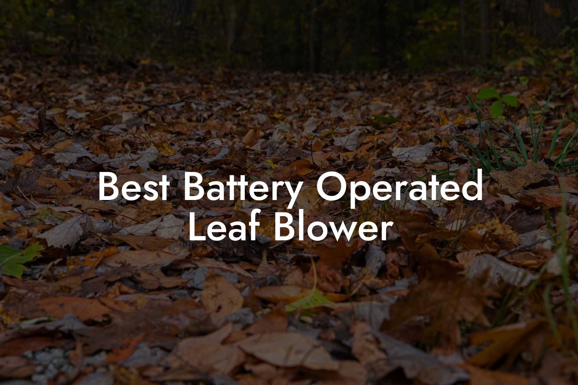 Best Battery Operated Leaf Blower