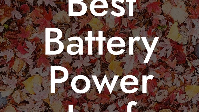 Best Battery Power Leaf Blower