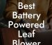 Best Battery Powered Leaf Blower 2023