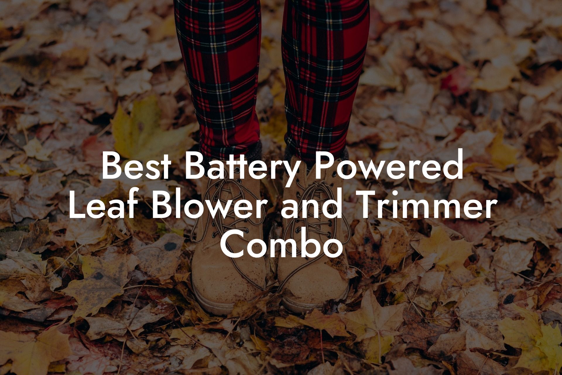 Best Battery Powered Leaf Blower and Trimmer Combo