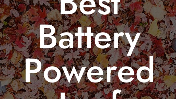 Best Battery Powered Leaf Blower