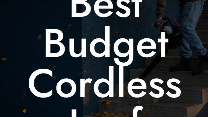 Best Budget Cordless Leaf Blower