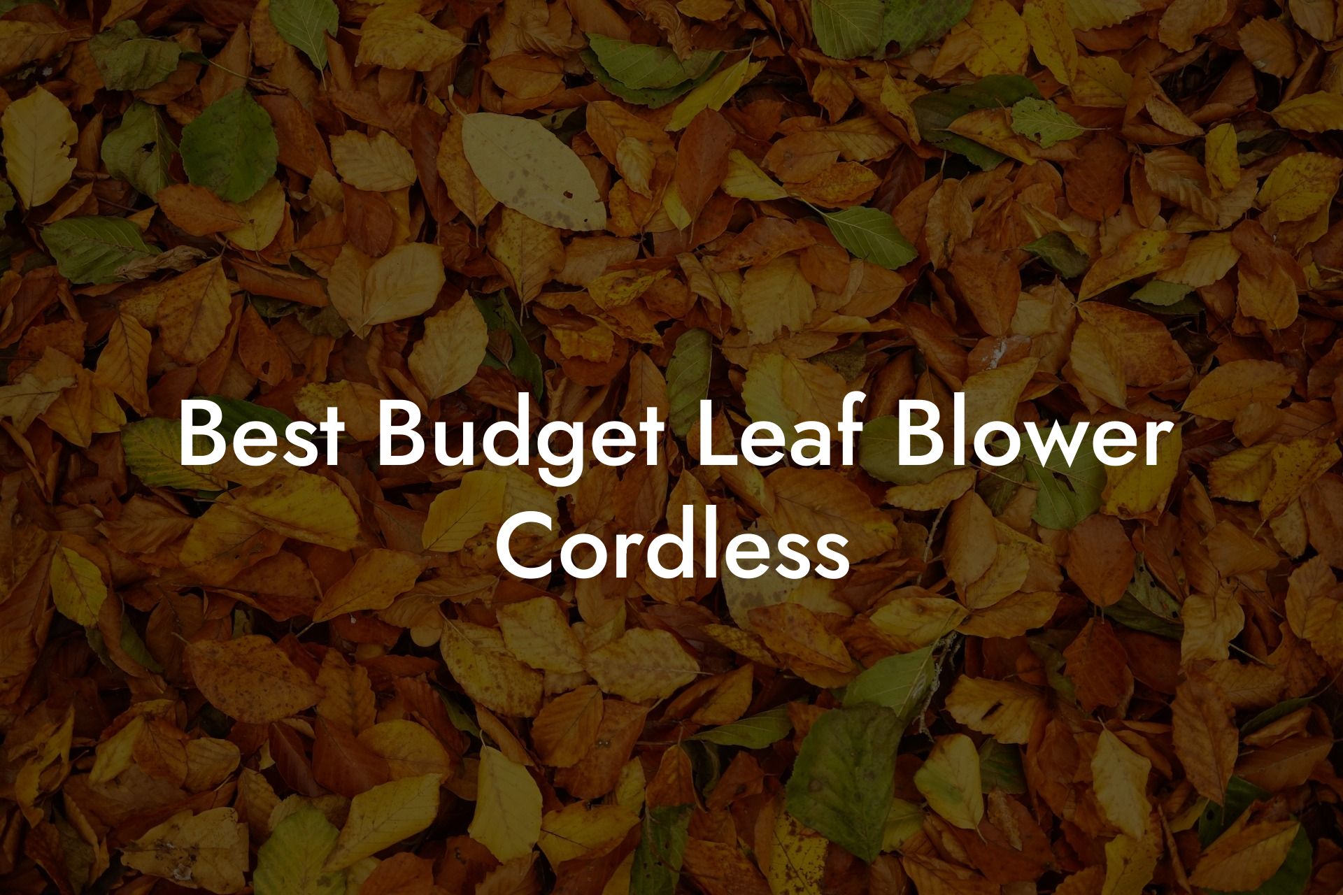 Best Budget Leaf Blower Cordless