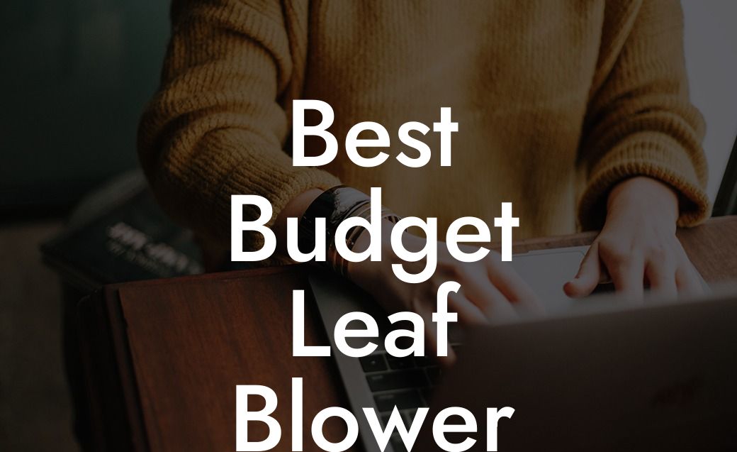 Best Budget Leaf Blower