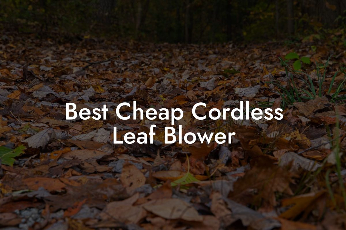 Best Cheap Cordless Leaf Blower