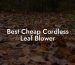 Best Cheap Cordless Leaf Blower