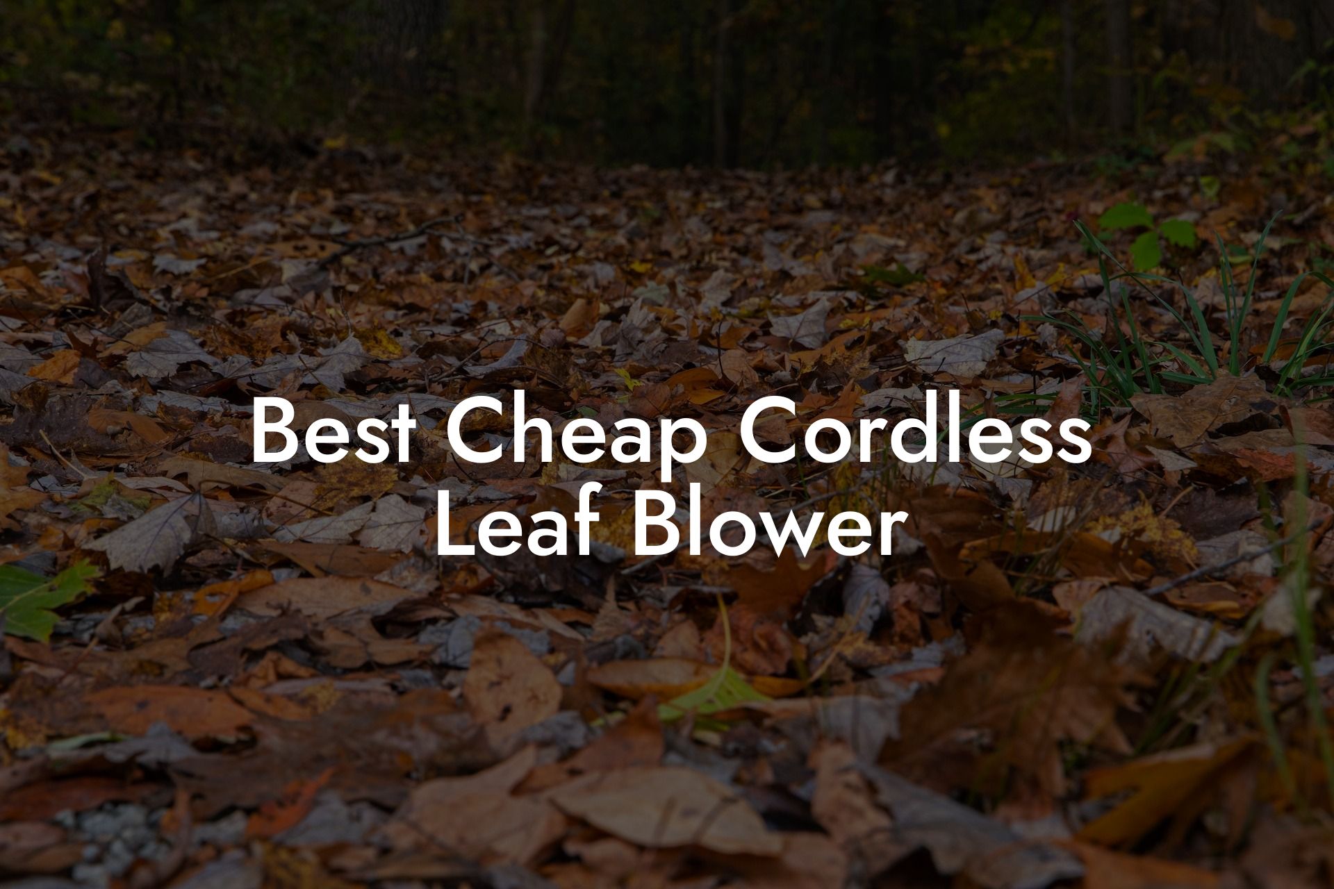 Best Cheap Cordless Leaf Blower