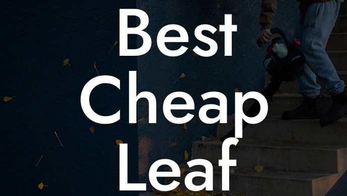 Best Cheap Leaf Blower