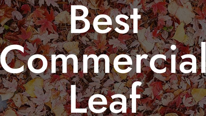 Best Commercial Leaf Blower