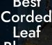 Best Corded Leaf Blower 2023