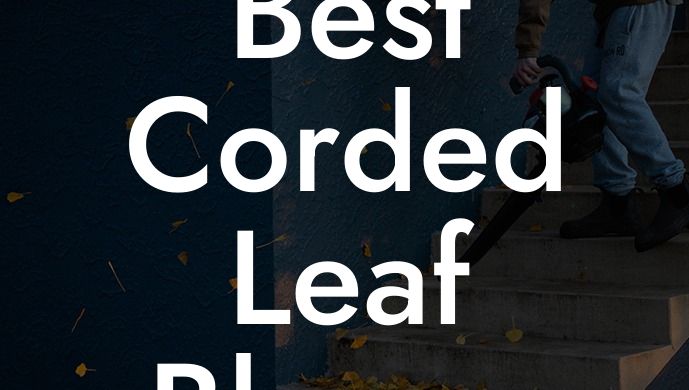 Best Corded Leaf Blower 2023