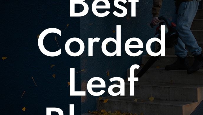 Best Corded Leaf Blower Vacuum