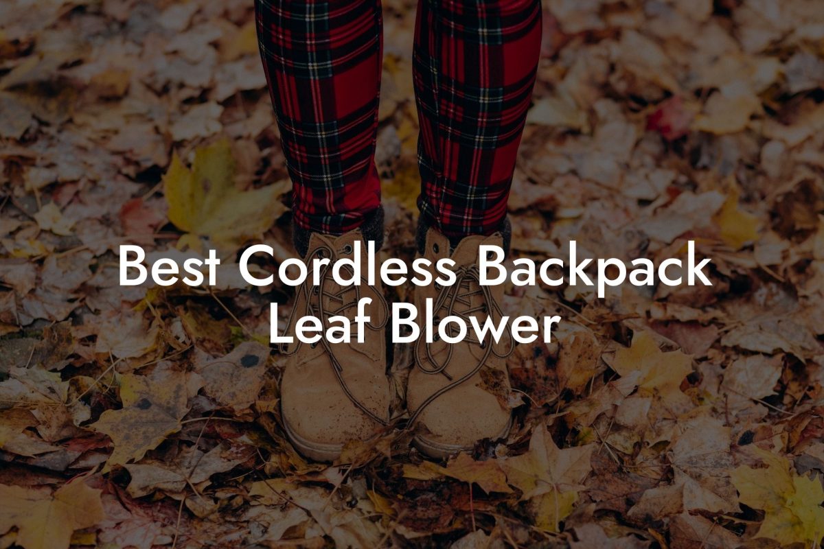 Best Cordless Backpack Leaf Blower