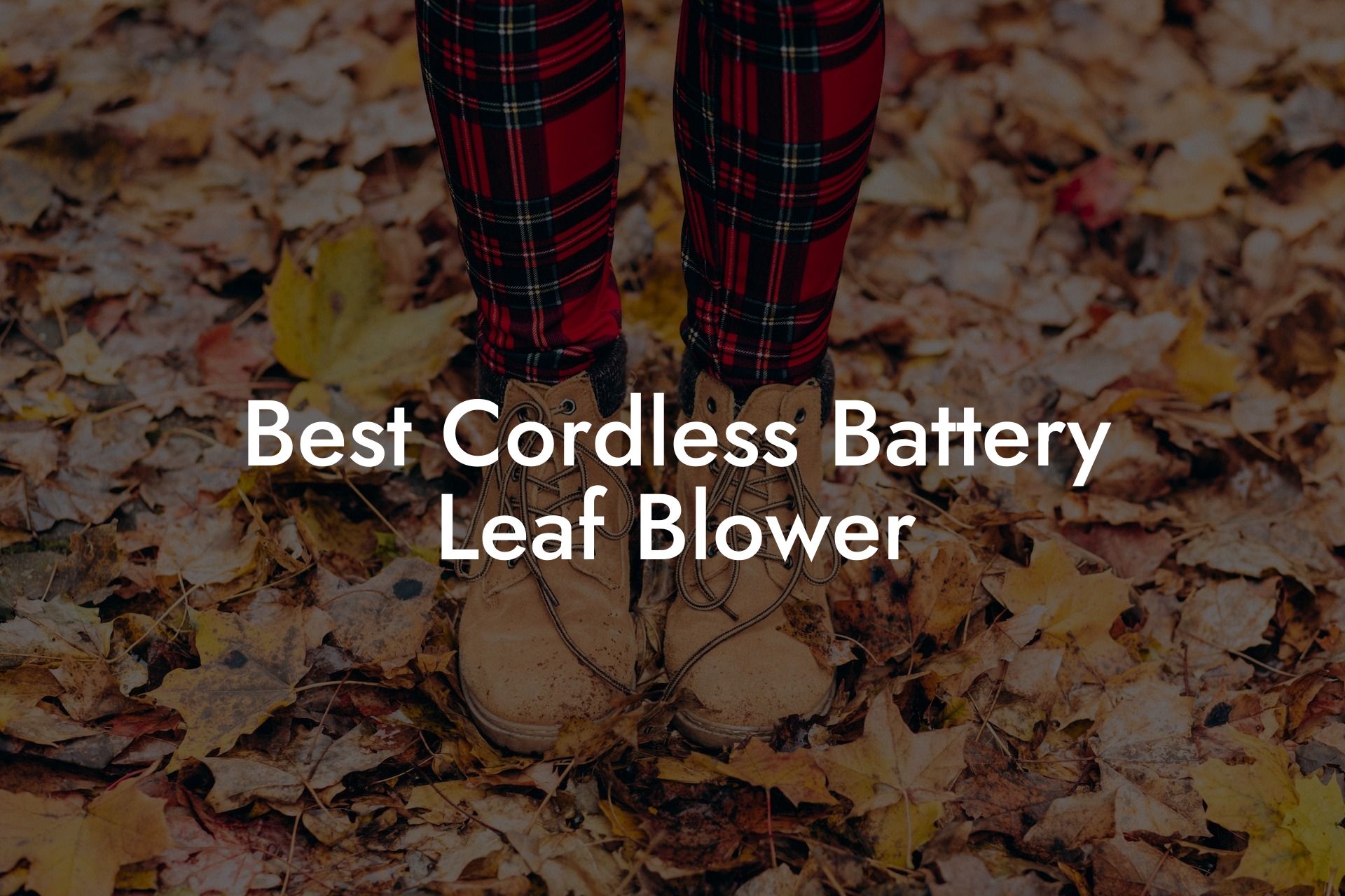 Best Cordless Battery Leaf Blower