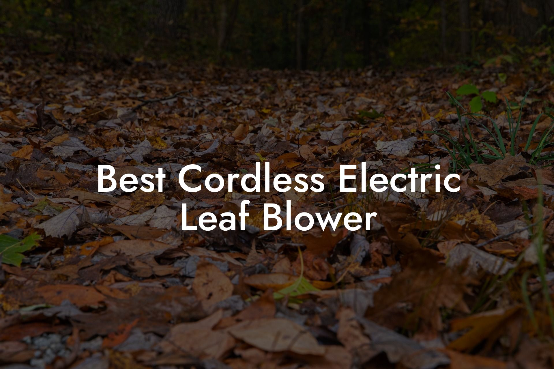 Best Cordless Electric Leaf Blower