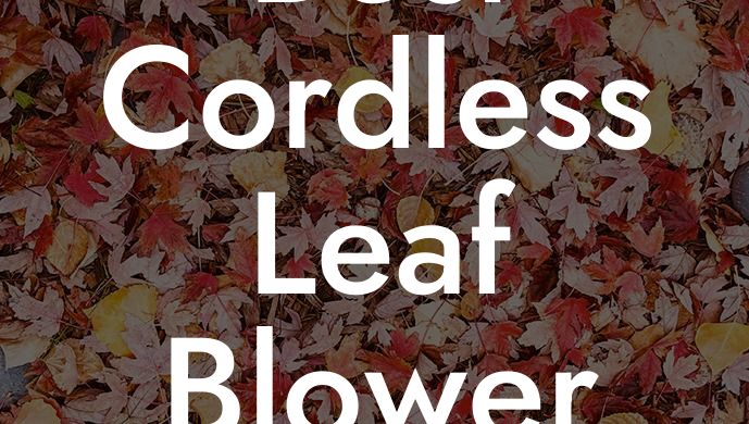 Best Cordless Leaf Blower and Vacuum