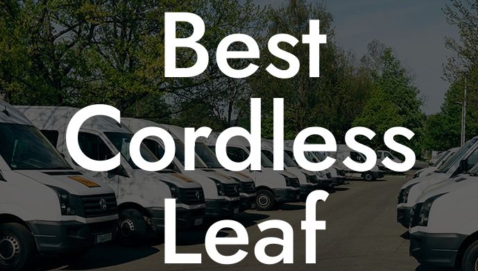 Best Cordless Leaf Blower