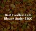 Best Cordless Leaf Blower Under $100