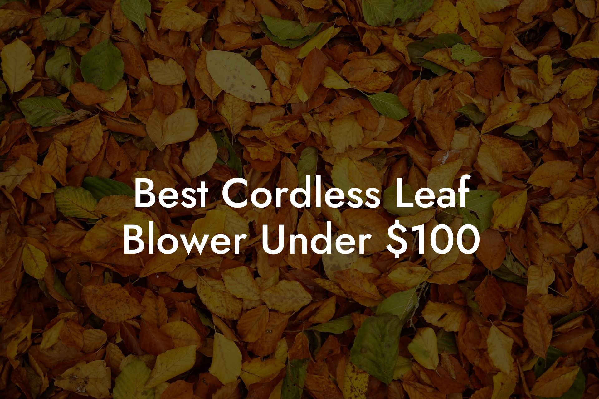 Best Cordless Leaf Blower Under $100