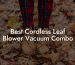 Best Cordless Leaf Blower Vacuum Combo