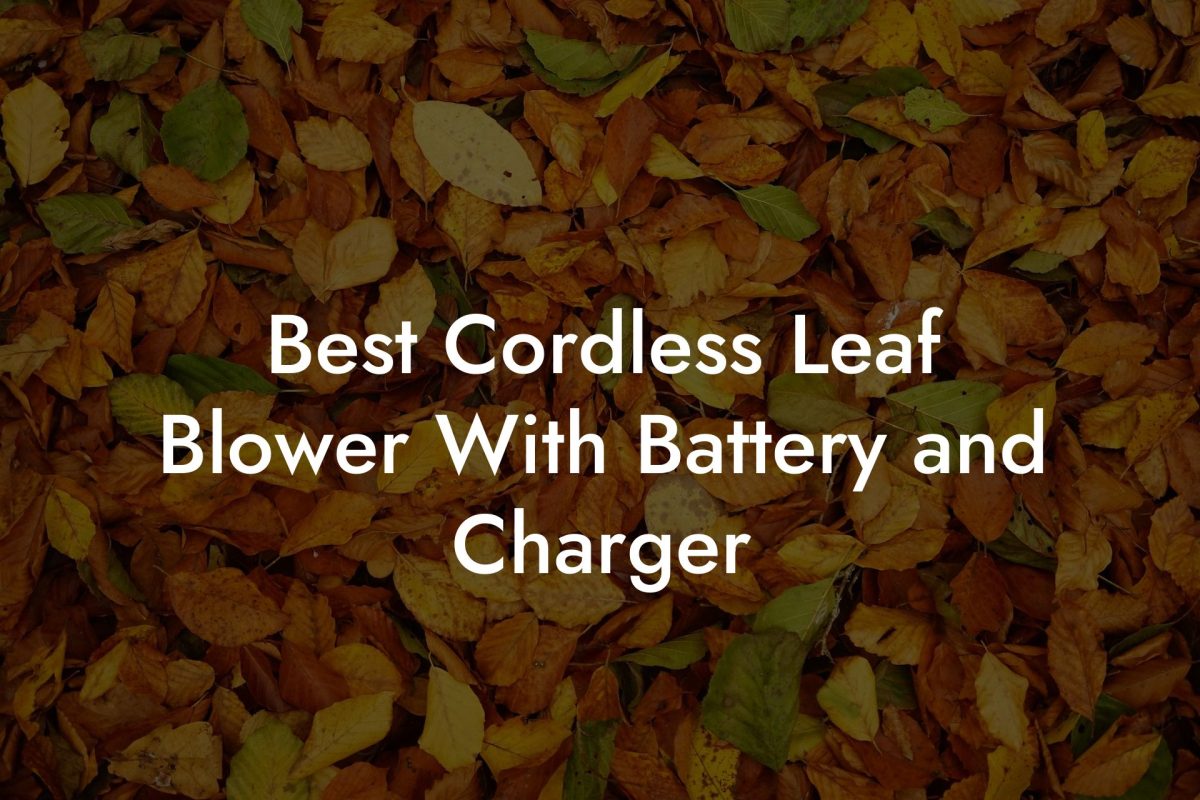 Best Cordless Leaf Blower With Battery and Charger