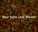 Best Echo Leaf Blower