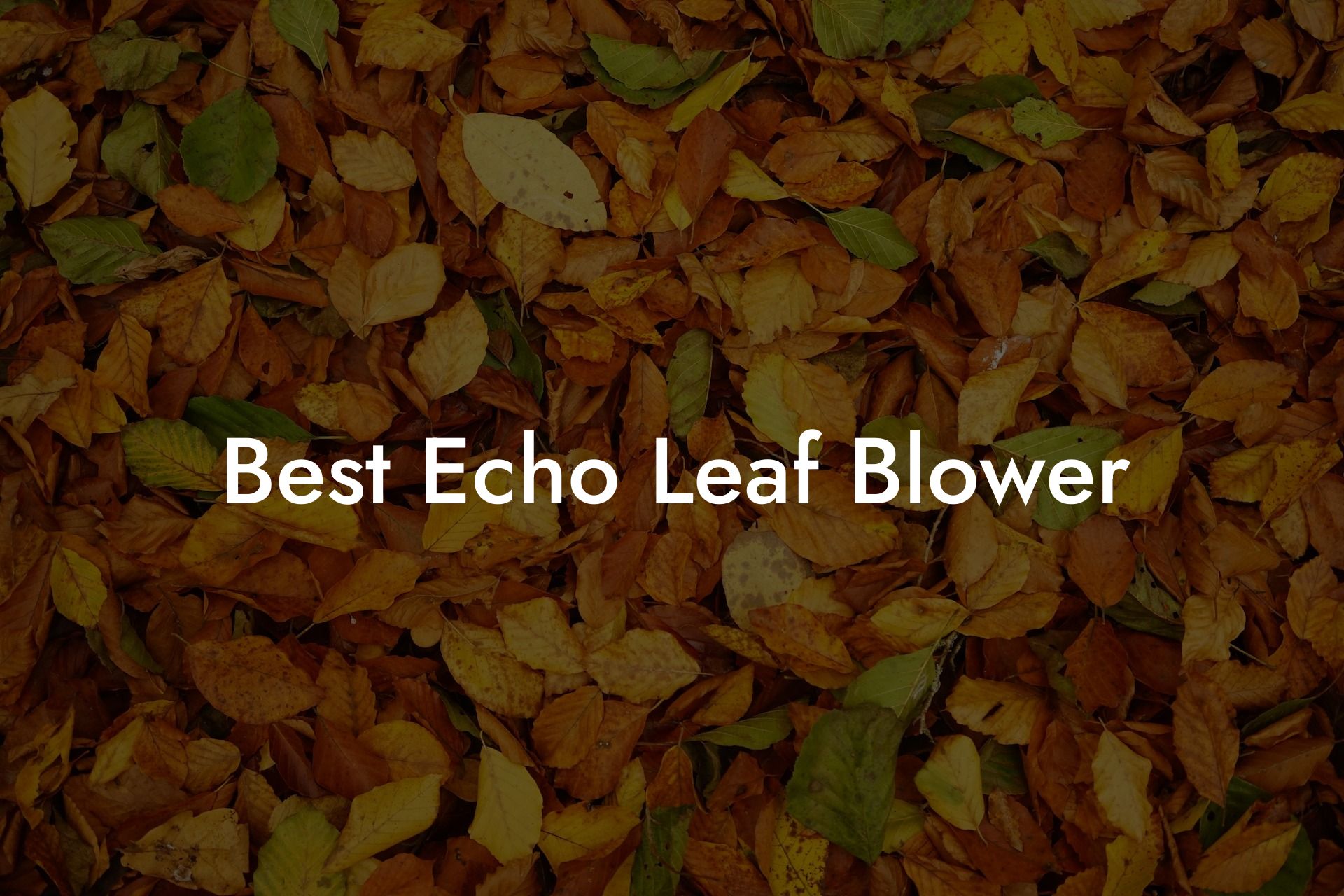 Best Echo Leaf Blower